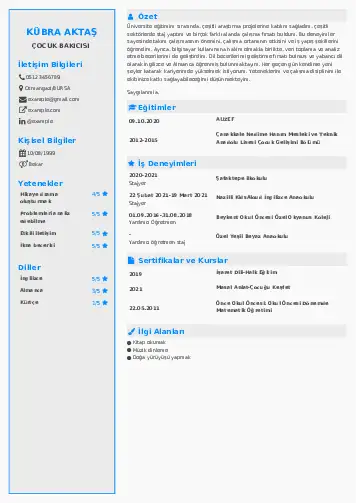 Çocuk Bakıcısı CV Örnekleri cv indir